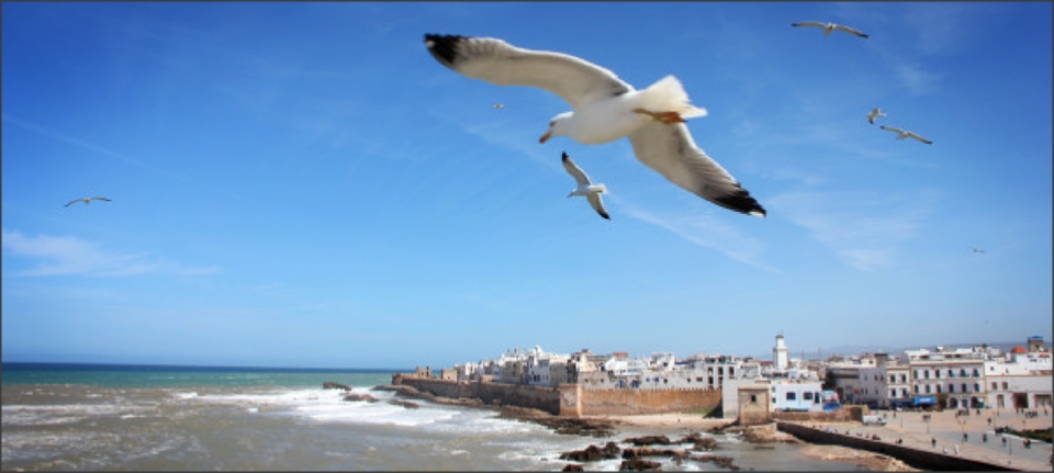 Morocco Travel Tours,private tours and excursions