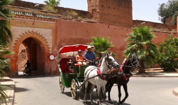 Marrakech Gardens Horse Drawn Carriage