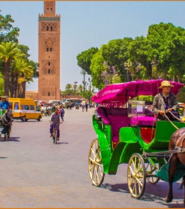 Marrakech Gardens Horse Drawn Carriage