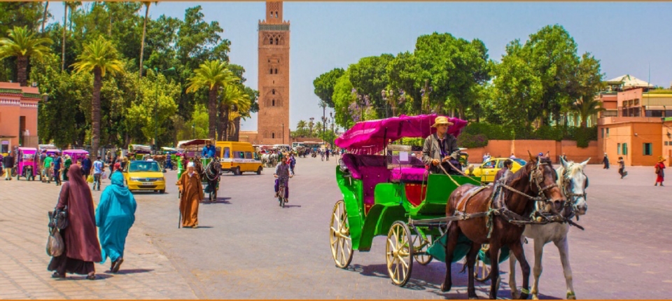 Marrakech Gardens Horse Drawn Carriage Marrakech Gardens Horse Drawn Carriage