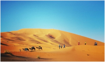 Morocco Travel Tours,private tours and excursions