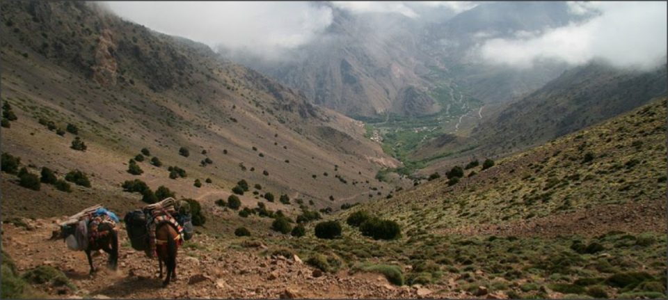 Morocco Travel Tours,private tours and excursions