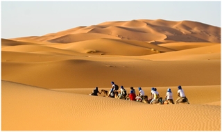 Morocco Travel Tours,private tours and excursions