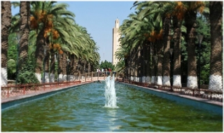 Morocco Travel Tours,private tours and excursions