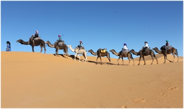Morocco Travel Tours,private tours and excursions
