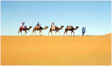 Morocco Travel Tours,private tours and excursions