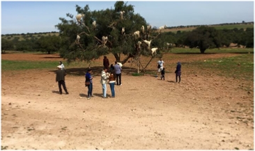 Morocco Travel Tours,private tours and excursions Morocco Travel Tours,private tours and excursions