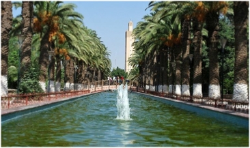 Morocco Travel Tours,private tours and excursions