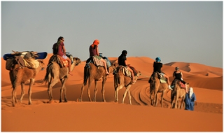 Morocco Travel Tours,private tours and excursions