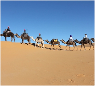 Morocco Travel Tours,private tours and excursions